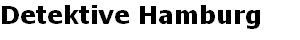 Detektive Hamburg